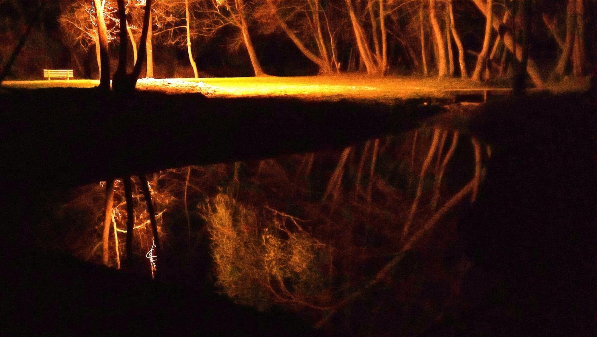 הוילה Rivignano La Regina Del Bosco מראה חיצוני תמונה